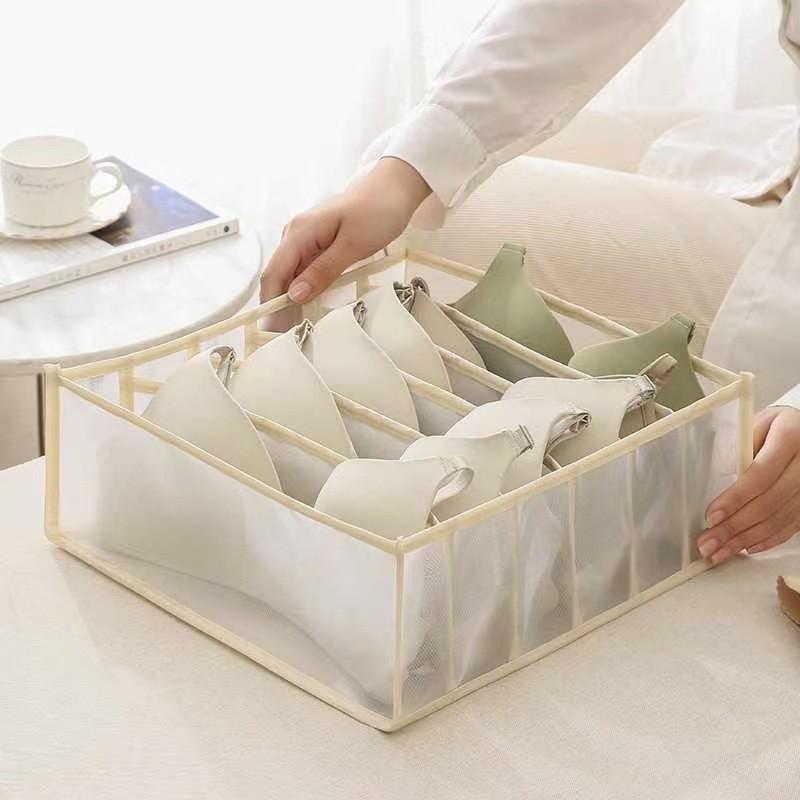 Innerwear Organizer With Divided Mesh Compartments For Home Bedroom Storage