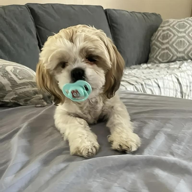 1 Stück 1 Hundewelpen-Schnuller zum Schlafen von Welpen