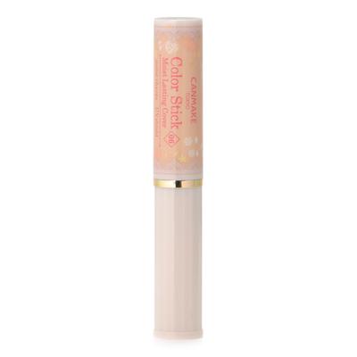 Color Stick Moist Lasting Cover 06 Natural Ochre 2.4g