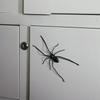 C-2025 Spider Fridge Magnets Home Spider Magnet Refrigerator Decoration - Spider Magnet Refrigerator Decoration Black