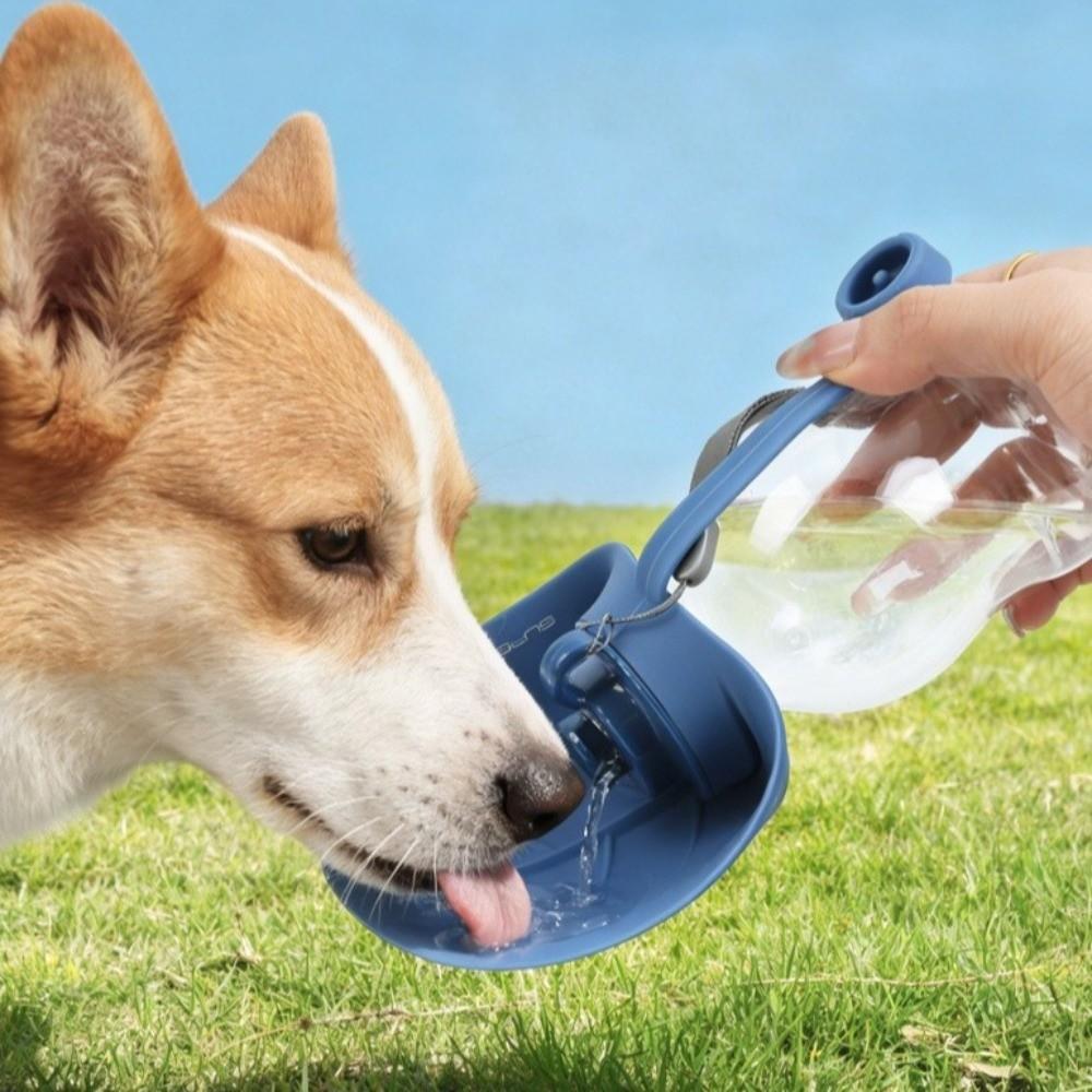 Lekdichte Opvouwbare Hond Waterfles Afneembare Huisdier Drinkbak Huisdier Voedseldispenser Kamperen