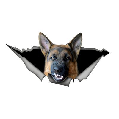 Angry German Shepherd Car Bumper Window Stickers For Car Truck Van Fashion Decals Vinyl Material Stickers