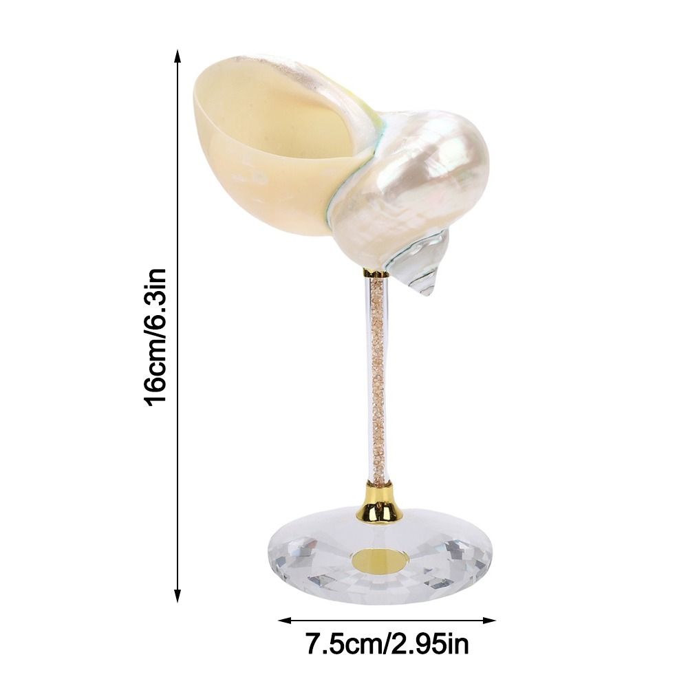 Polished Seashell Conch Shell Wine Glass Crystal Base Cocktail Glass  Valentine Birthday