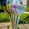 Classic Hair Color Brush Hair Dye For Hair Stylist Color Applicator Brush Essential Tools For Family Hairdressing