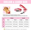 Print Dog Collar and Leash Set Nylon Cat Collars Adjustable Pet Necklace Lead For Small Medium Dogs Chihuahua Dog Accessories