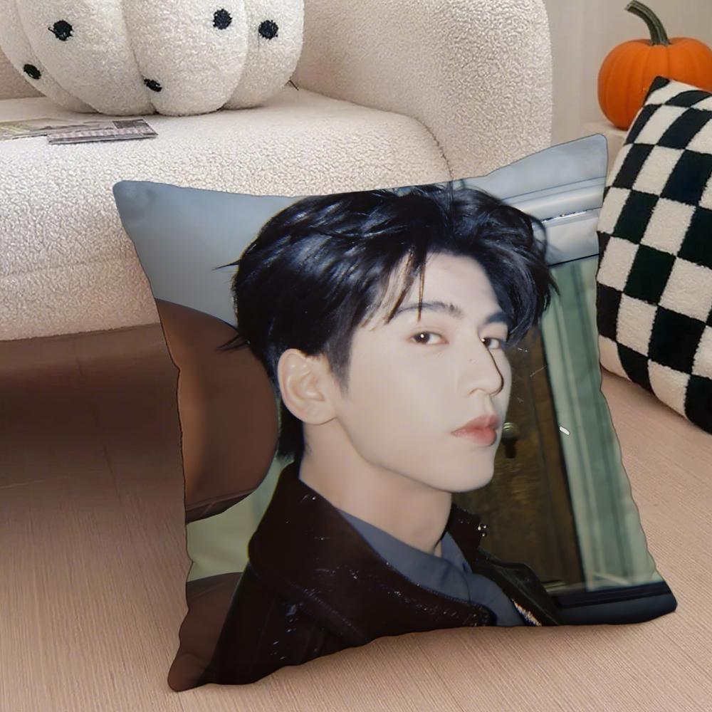 Handsome Versatile Chinese Actor ZZhangLingHe Cushion Cover Throw Pillow Cover Hidden Button Durable Polyester Chair Cushion