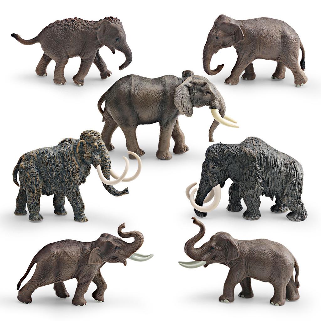 Animal Wildlife Model Toy For Kids Educational Decor And Collectors