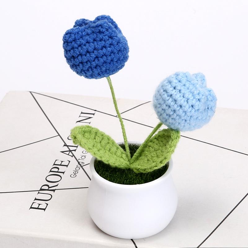 Hand-Woven Wool Tulip Plant: Creative Desktop Ornament & Graduation Gift