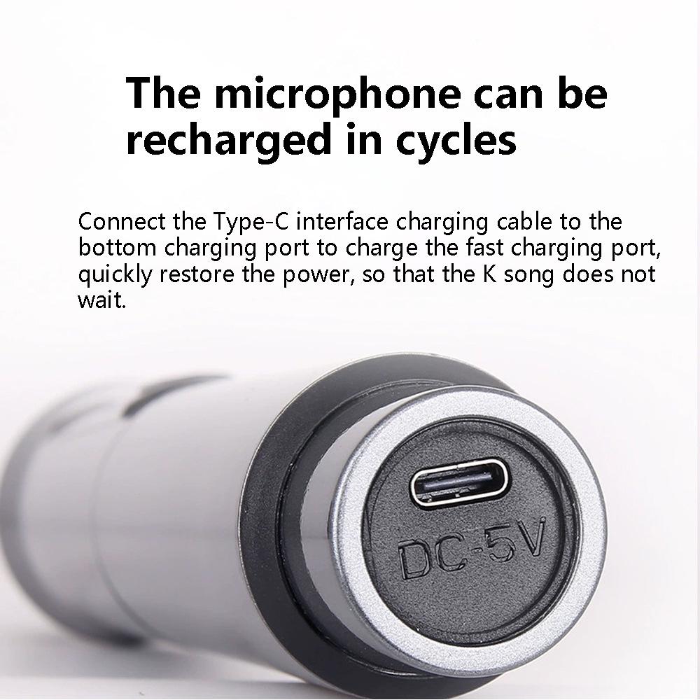 Rechargeable Wireless Microphone System for Karaoke, Speeches, and Parties