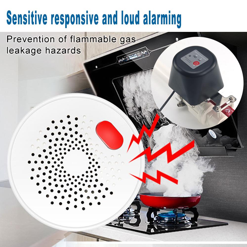 1/2" 3/4" 1" Inteligentny zawór gazowy Tuya WIFI Timer odcinający wodę ogrodową Kontroler nawadniania z czujnikiem wody/gazu Alexa Google