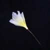 Transparent Silk Large Artificial Flower Handmade Photography Backdrop Prop