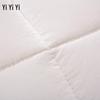 Yiyiai DB-8YMB-003 Warm Wool Winter Duvet