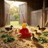 Avian Waterer Multiple Drinking Openings Drinker Red and Yellow Chicken for Chicks