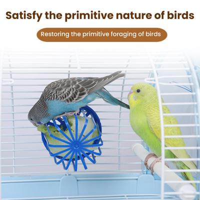 Yousheng 3Pcs Birds Feeder Basket Easy Fill Parrot Feeder Fruit Vegetable Holder Basket Perch Stand for Birdcages Pet Feeding