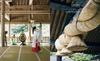 Casa BRUTUS Special 100 Sacred Places in Japan HOUSE Edition (MAGAZINE MOOK)