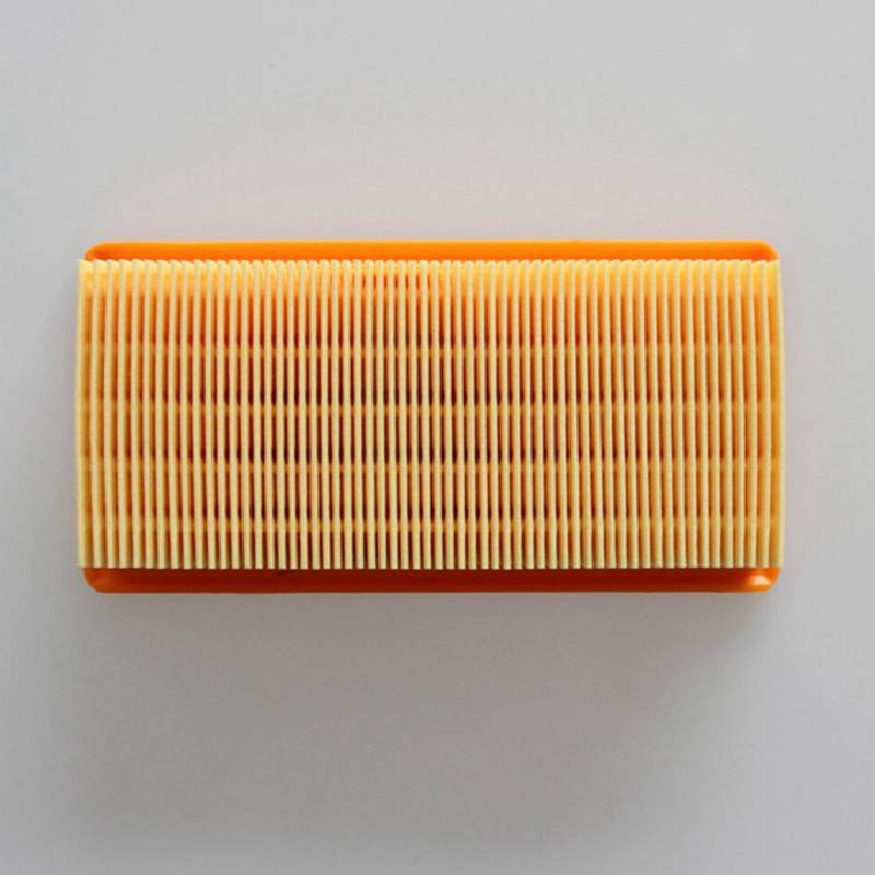 For Karcher Engine Filter Replacement For Dust Filtration And Vacuum Cleaner Maintenance