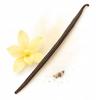 Wanilia Laska 12-14 Cm 16 Sztuk Laski Wanilia Bourbon Madagaskar Oryginalne