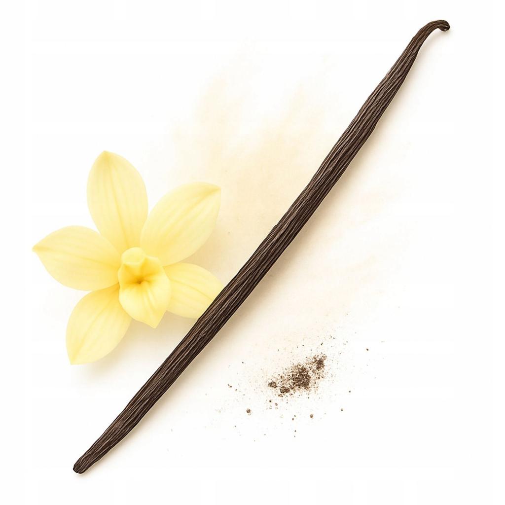 Wanilia Laska 12-14 Cm 16 Sztuk Laski Wanilia Bourbon Madagaskar Oryginalne