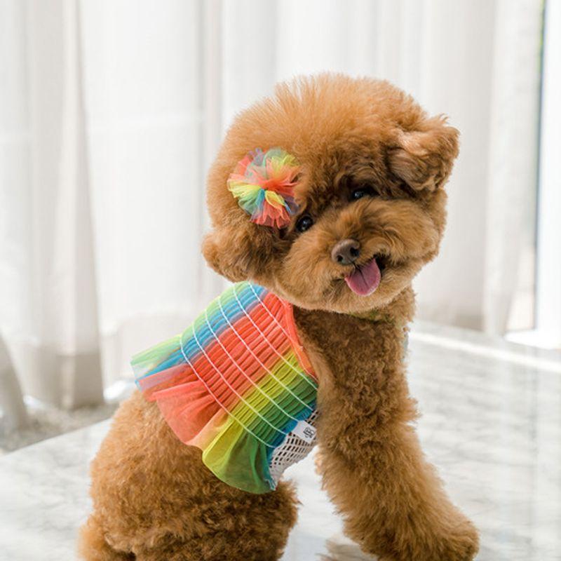 SALTYHEARTY Hello Crop Blouse NEON RAINBOW
