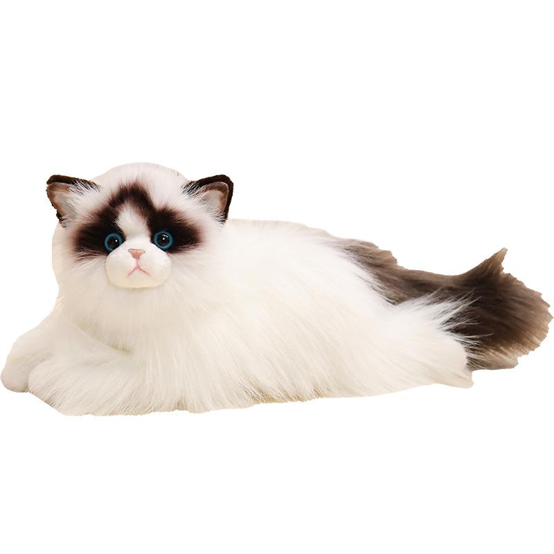 New New Ragdoll Cat Doll Plush Toy Kitten Siamese Cat Doll Ragdoll Children s Birthday Gift Doll белый