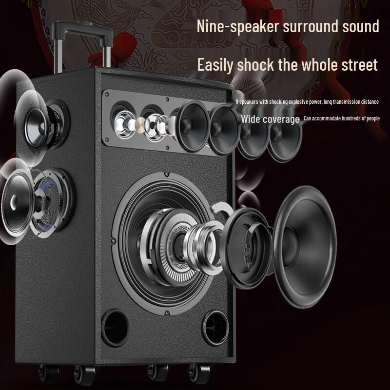 Suoai 8-inch Wooden High-Power Outdoor Portable Karaoke System