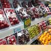 ZISIZ PE Food Wrap Film