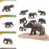 Animal Wildlife Model Toy For Kids Educational Decor And Collectors
