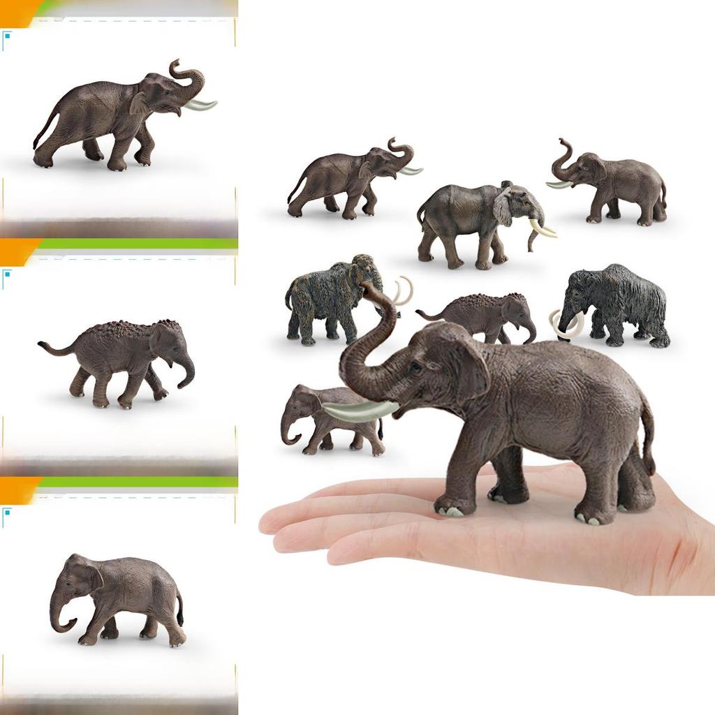 Animal Wildlife Model Toy For Kids Educational Decor And Collectors