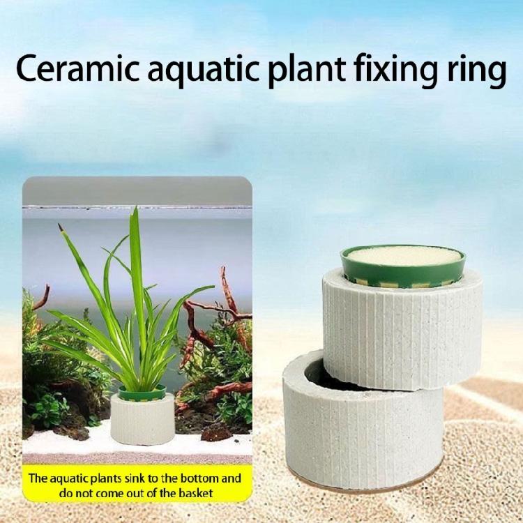 Gewichte Keramik 10 Stück Pflanzen Wasser Aquarium Pflanzen Befestigungsringe Aquarium Dekoration Zubehör Für Süßwasser Salzwasser