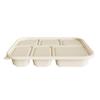 Biodegradable Corn Starch 6-Compartment Disposable Lunch Box