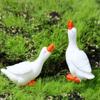 Accessories Home Decoration Fairy Garden Desk Pot Craft Goose Figurine Bonsai Ornament Miniatures