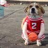 Slam Dunk Basketball Costume Dog Halloween Costume