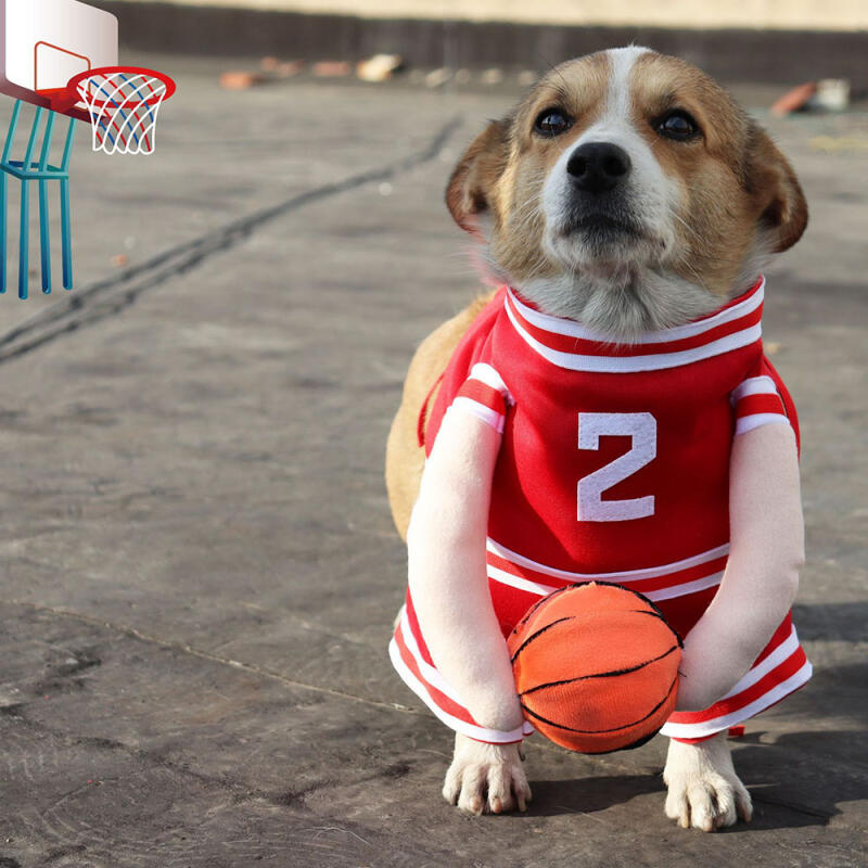 Slam Dunk Basketball Costume Dog Halloween Costume