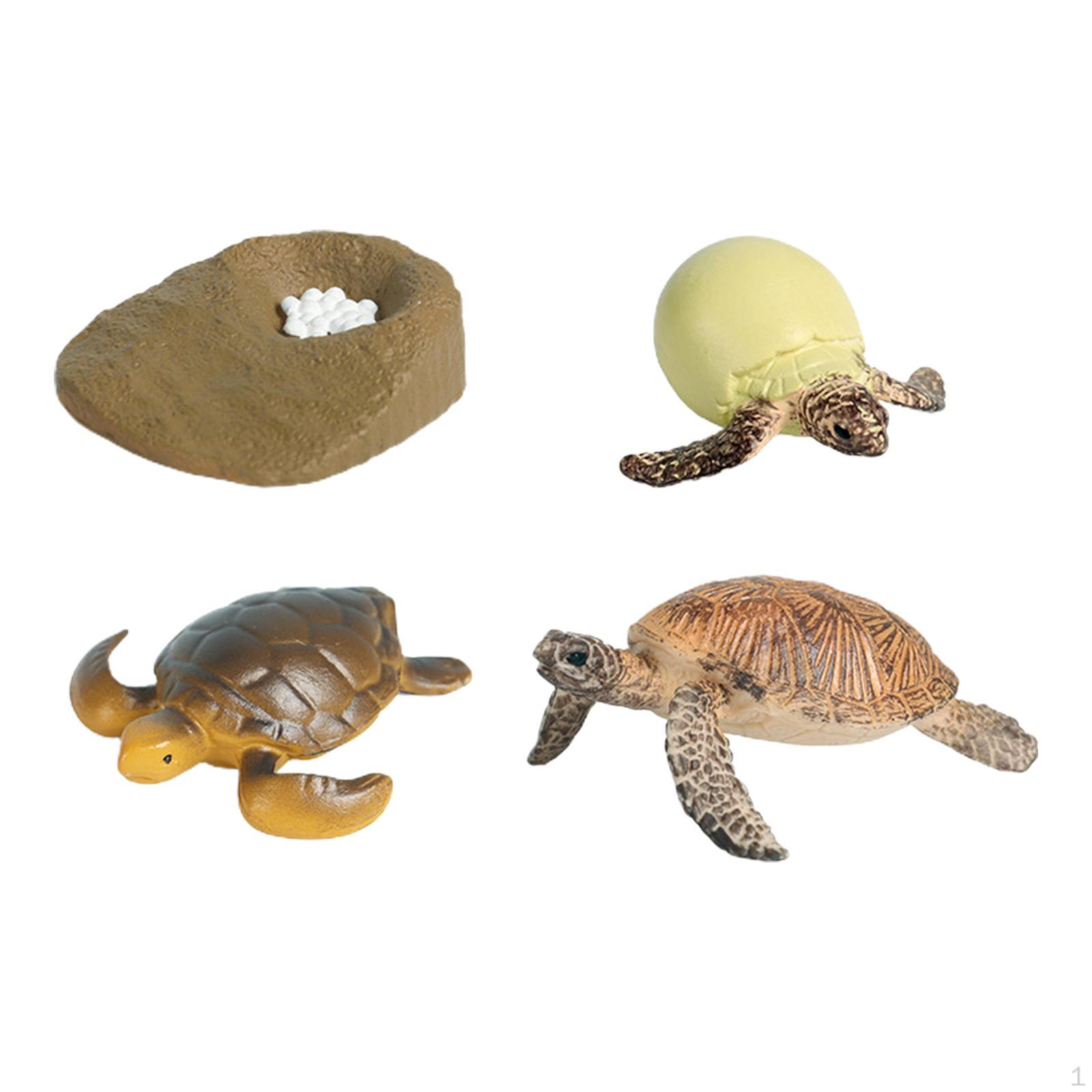 

Обучающий игровой набор «Велосипед» для детей 3–6 лет — интерактивный набор для изучения sea turtle