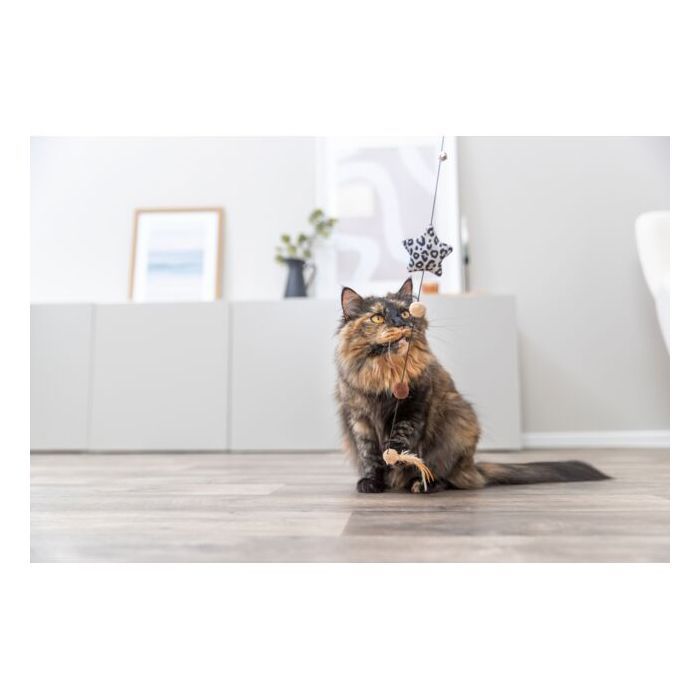 Jouet pour chat - TRIXIE - Canne à pêche étoile - 50 cm - Marron / Beige