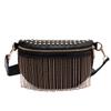 Tassel Bag, Fashionable Metal Stud Crossbody Bag, Wide Shoulder Strap, Single Shoulder Sling Bag