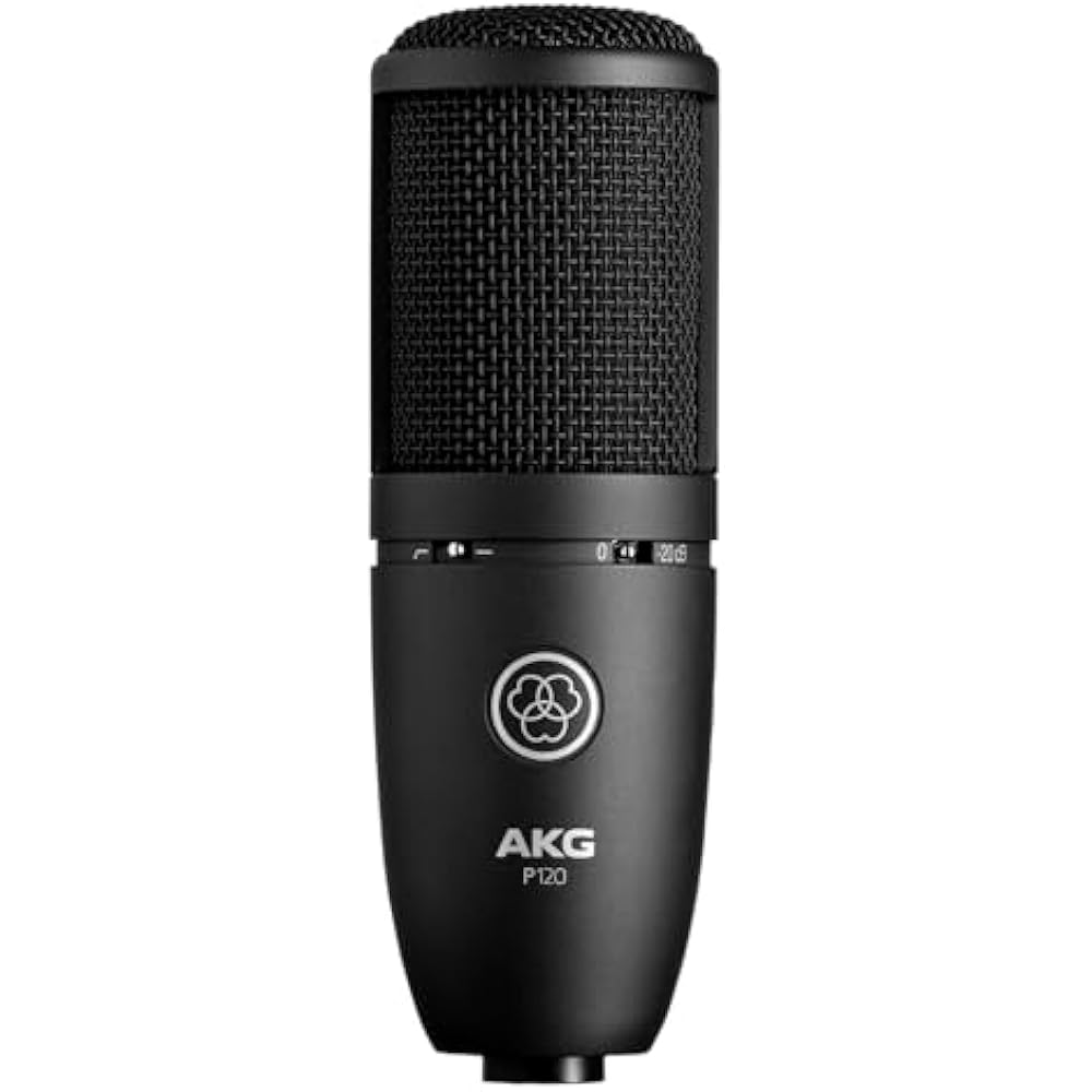 AKG (Arker Game) P120 Project Studio Line [Ideal for Vocal/instrument Recording, Durable All-meta...