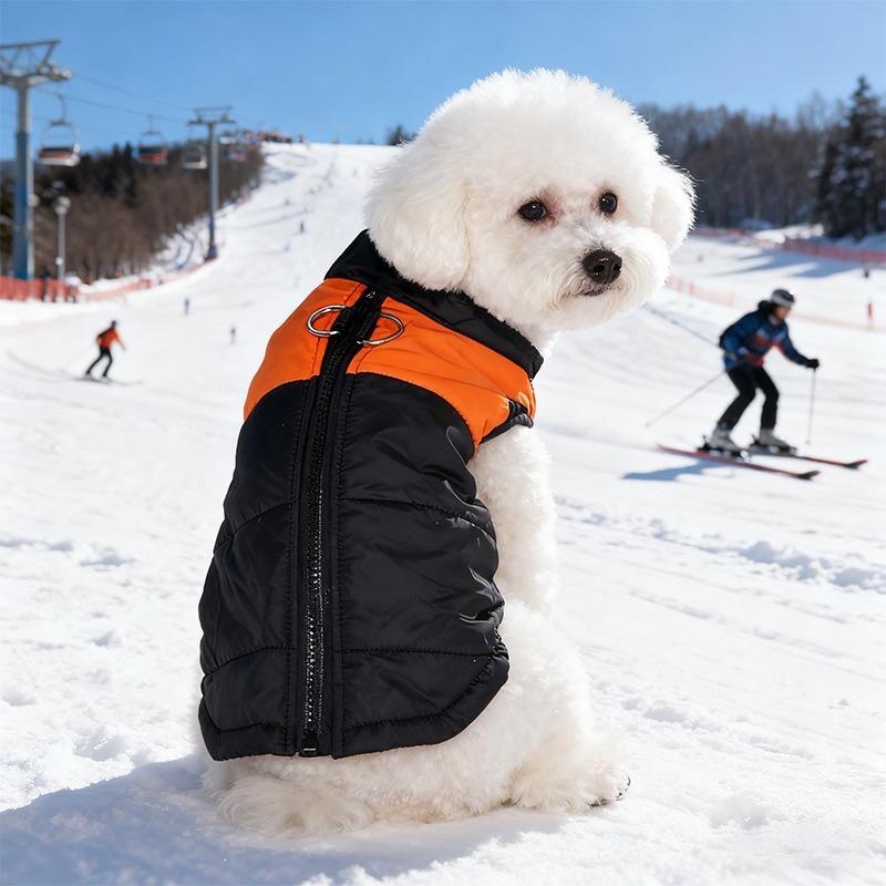 Cotton-padded vest, cotton vest, ski wear, pet vest with its own traction buckle, teddy zipper, dog warm cotton-padded coat.