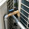 Brass 90 Degree R22 Ball Valves Shut-off Flows Control for Refrigerator & AC Charging Compact Valves for Refrigeration Repair