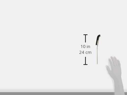 PROIDEA Otsu Style Cleaning Brush J (Set of 3), Black, W1.8 x D23.5 x H5.0cm