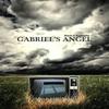 Gabriels Angel by Mark A. Radcliffe Paperback Book 9780955336782