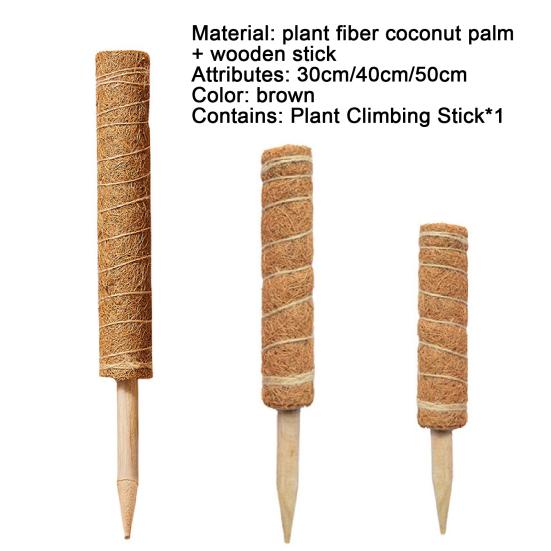 Indoor Climbing Plant Pole Convenient Coir Moss Stick Plant Support for Creepers