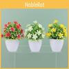 Simulation Causonis Japonica Plastic Flowers Green Plants For Decor Home
