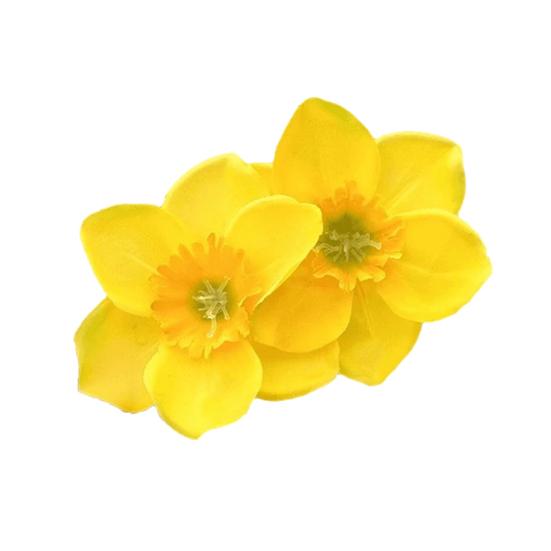 Women Hair Clips Large Dual Flower Decor Side Hair Pins No Hair Damage Hairpins Plastic Hair Accessory