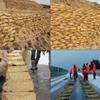 Gardening Straw Insulation Mats & Bags