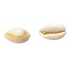 Pack Of 10 Natural Shell Buttons Unique Conch Shape Button Buckles For Fashion Designers And Craft Clothing Project