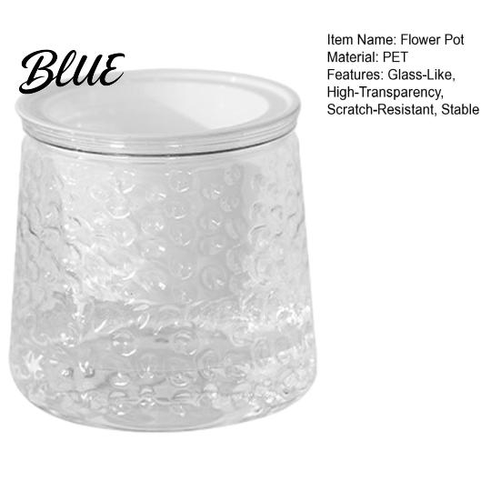 Clear Plastic Planters Self‑Watering Planter Pot Thick Transparent Flower Embossed Pothos Anthurium Growing Pots Decorative Indoor for Hydroponic