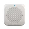 Portable Wireless Voice Amplifier Teachers Meeting Tour Guide Rechargeable PA System Speaker Personal Amplifier