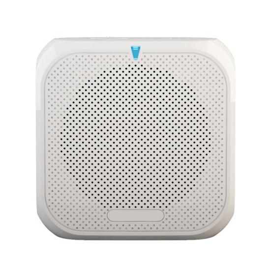 Portable Wireless Voice Amplifier Teachers Meeting Tour Guide Rechargeable PA System Speaker Personal Amplifier