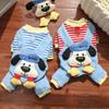 Autumn/Winter Dog Apparel for Medium to Large Breeds: Teddy, Corgi, Pomeranian, Golden Retriever, Border Collie, and Shiba Inu.